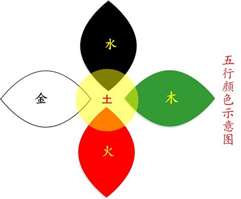 五行木系顏色|五行